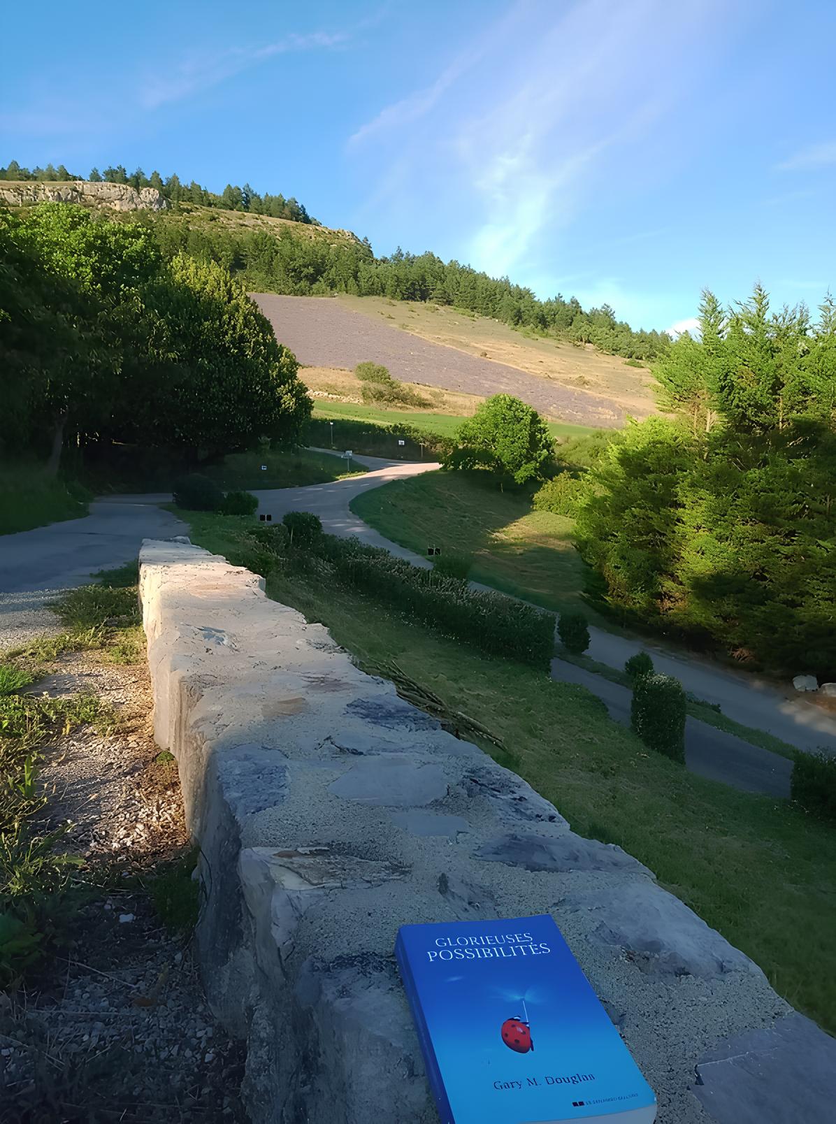 psychotherapeute marne grand est veronique giancola