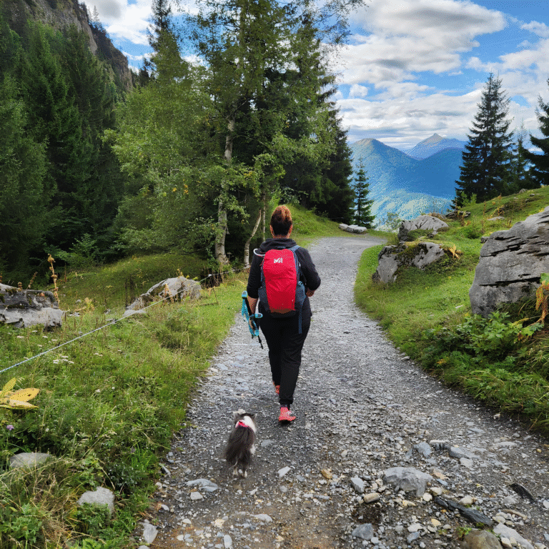 accompagnements personnalises therapie chalons veronique giancola