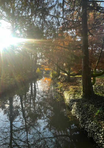 giancola veronique psychotherapeute chalons en champagne