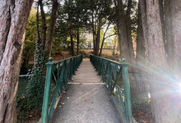 gestalt therapie veronique giancola