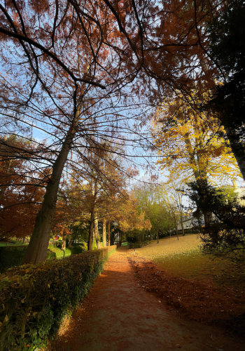 giancola veronique psychotherapeute chalons en champagne