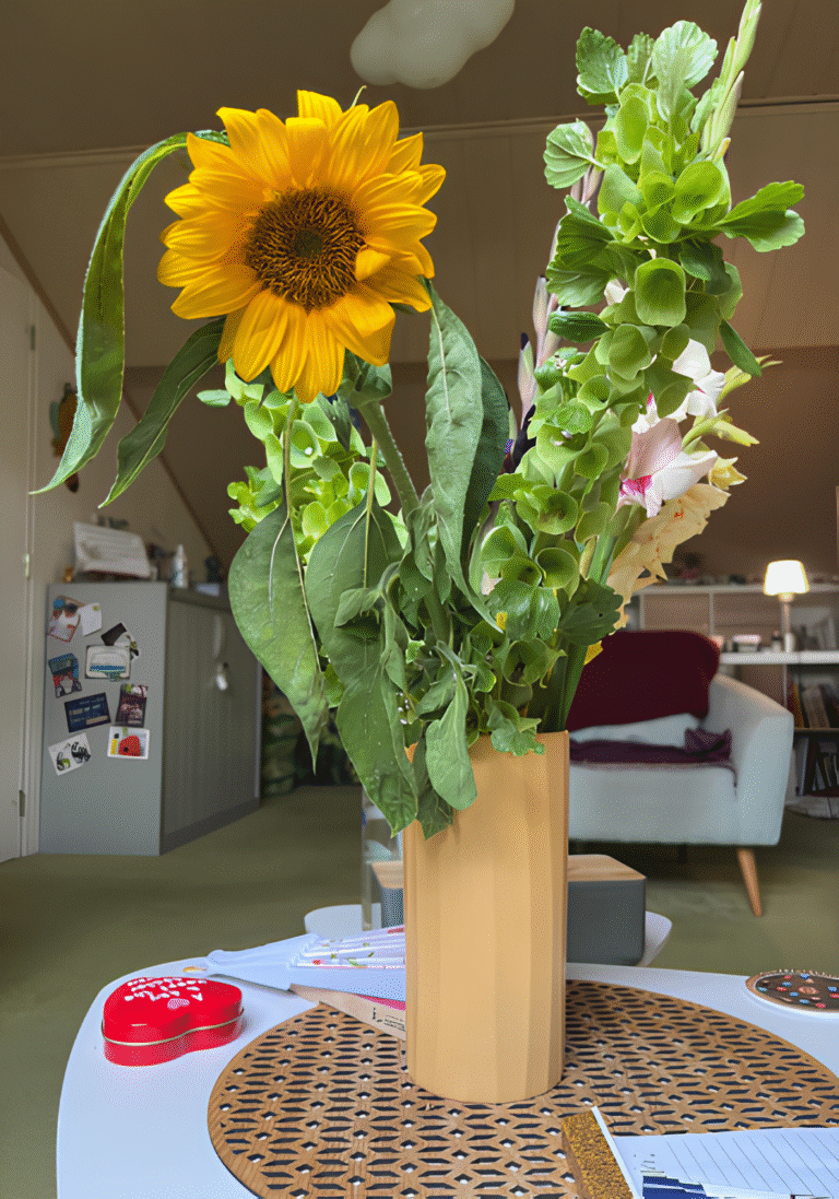 temoignages personnes accompagnees therapies veronique giancola